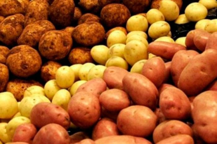 440 тонн картошки хлынуло в Свердловскую область — проверили на вредителей!