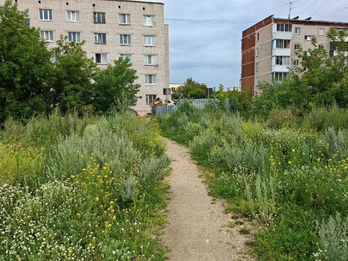 «Крапива в рост человека и ни одного туалета»: туристы из Тюмени раскритиковали Каменск-Уральский