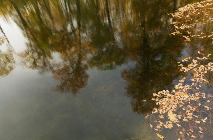 Свердловчане массово уезжают из города: раскрыты топ-5 озёр для летнего отдыха