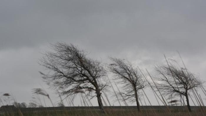 Синоптик рассказал, где похолодает до +4: погода в Свердловской области на начало недели