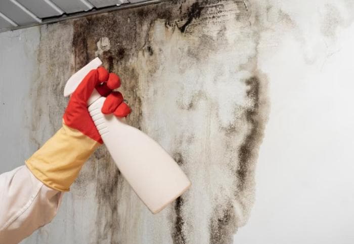 Инспекторы выявили плесень и грязь на свердловском молочном заводе — выписаны протоколы и штрафы