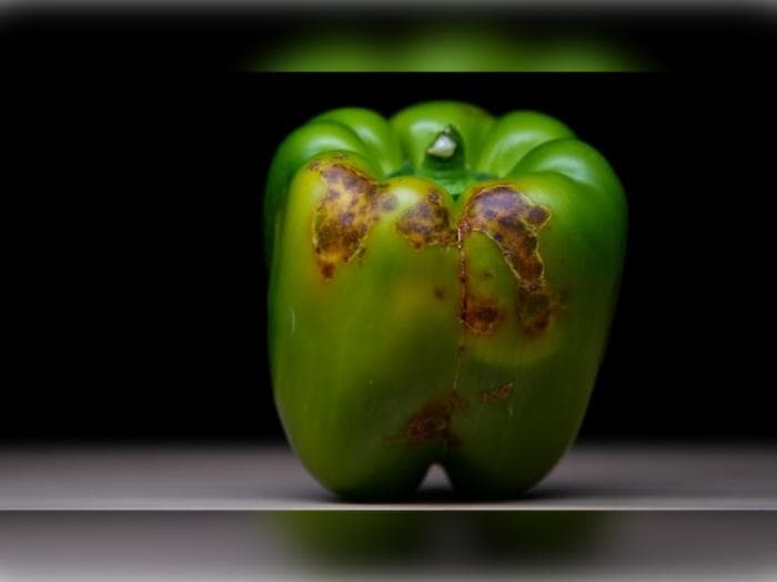 В Свердловскую область завезли заражённый перец — вирус нашли в полтонне овощей из Узбекистана