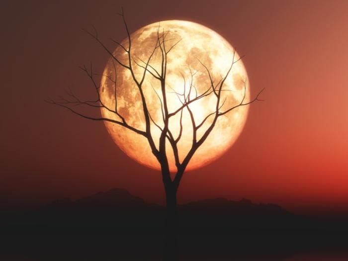 Свердловская область увидит «кровавую Луну»: полное затмение станет главным шоу 7 сентября