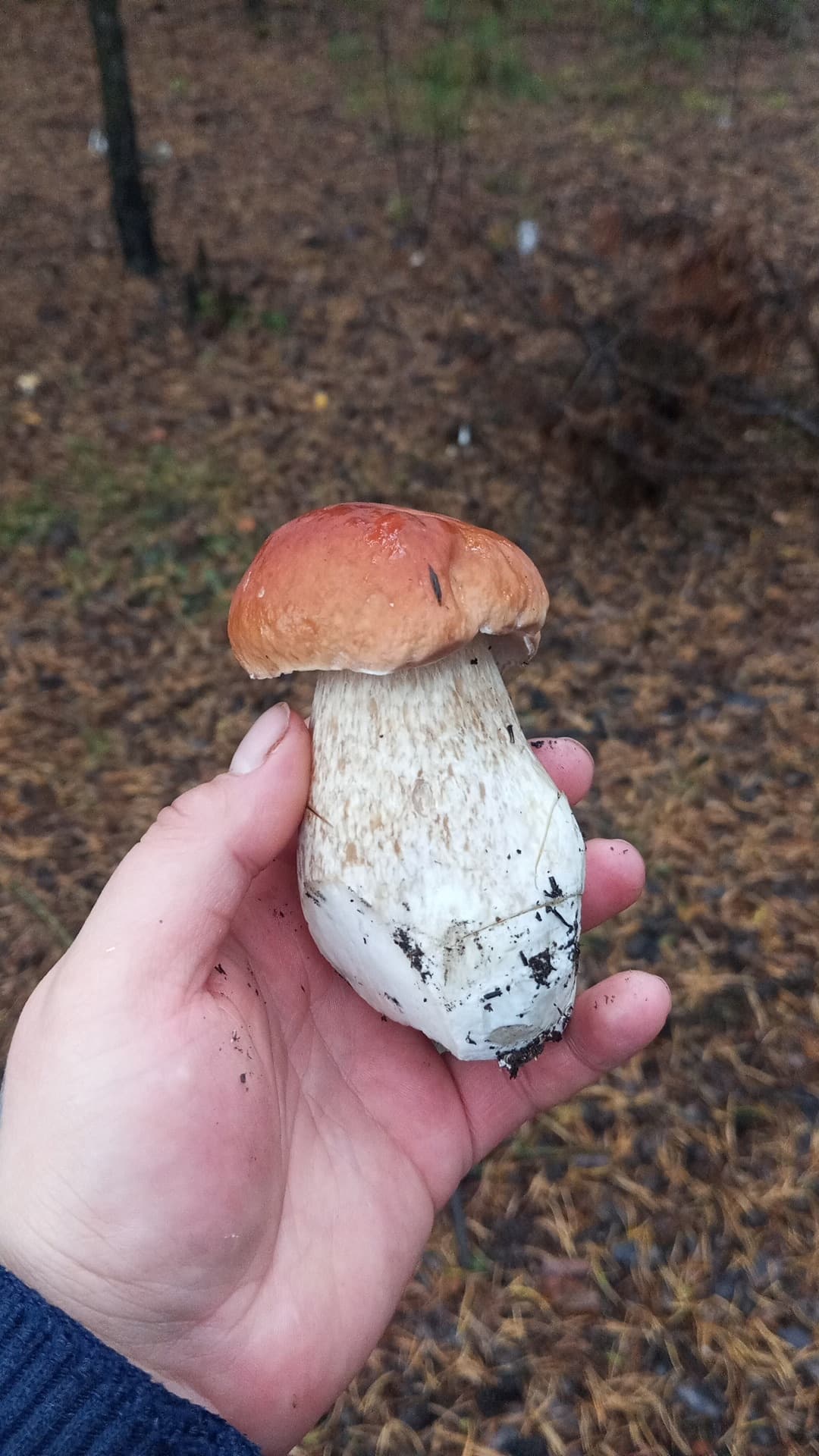 Изображение 1