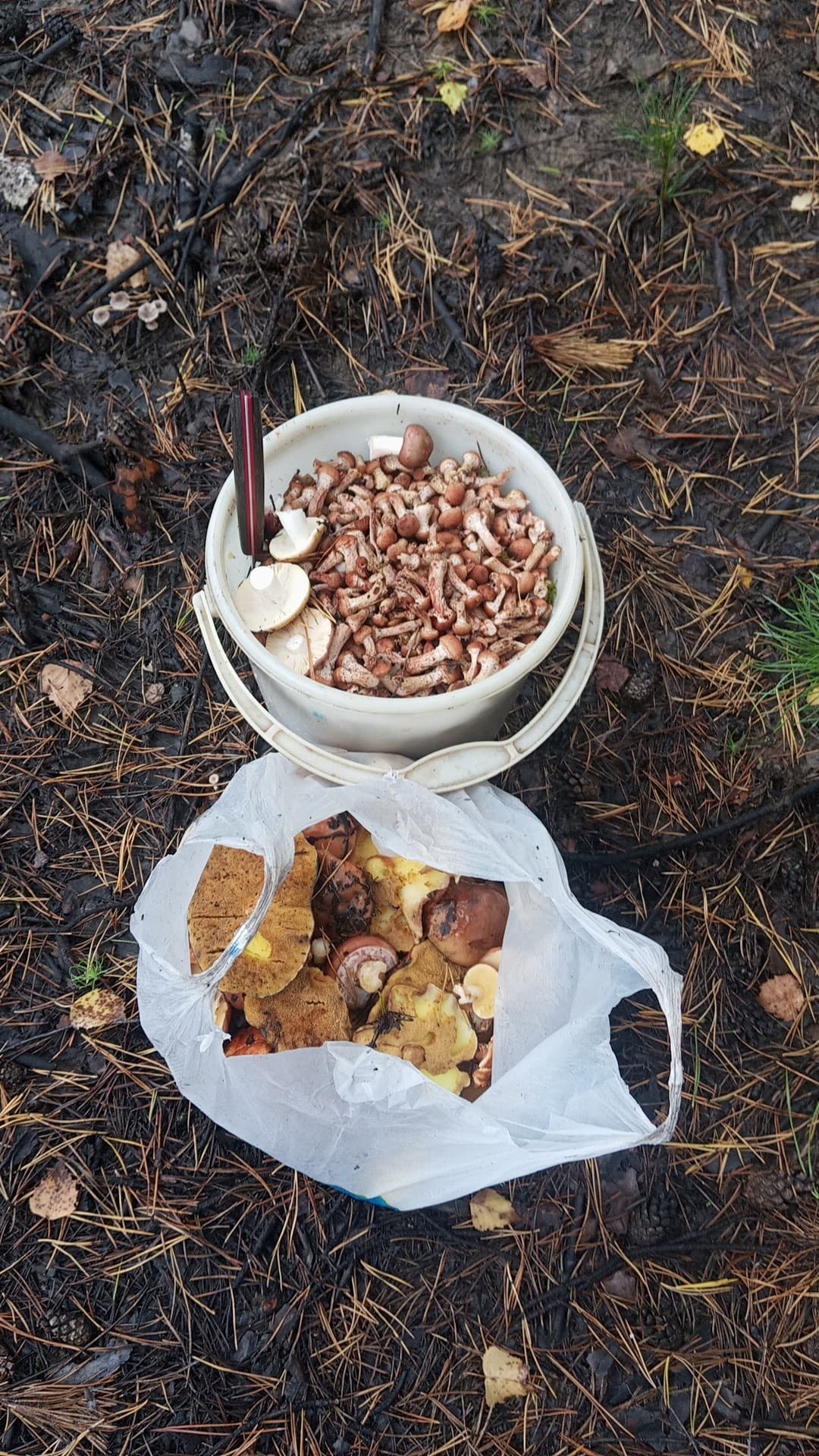 Изображение 7