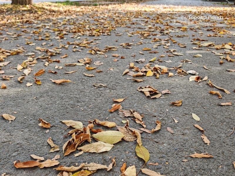 Гадайте на нитке в день осеннего равноденствия: что принесёт вам 22 сентября по народным приметам