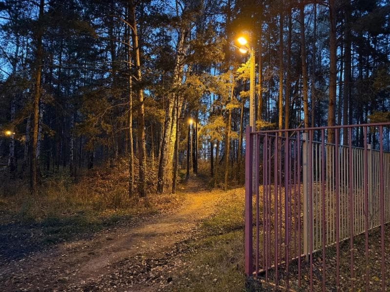 «Вопрос решился»: в Каменске-Уральском вернули свет на темной дорожке через лес