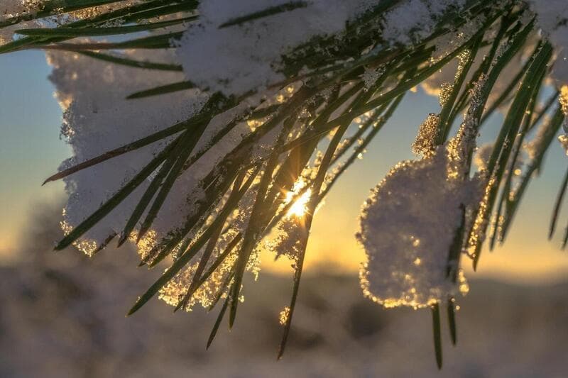 Синоптики предупреждают: с 11 по 15 октября Свердловскую область ждут первые снежные дожди октября