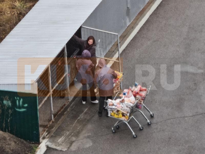 В Каменске-Уральском выкинули три тележки хлеба: жители возмущены поступком «Пятерочки»