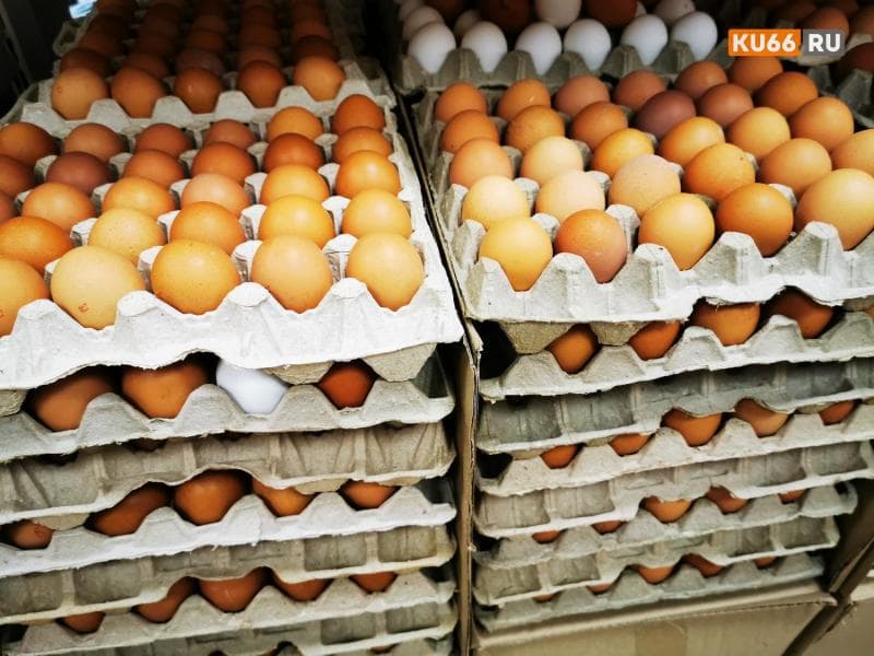 Свердловские яйца отправились в Сирию: зачем российская продукция летит в другую страну