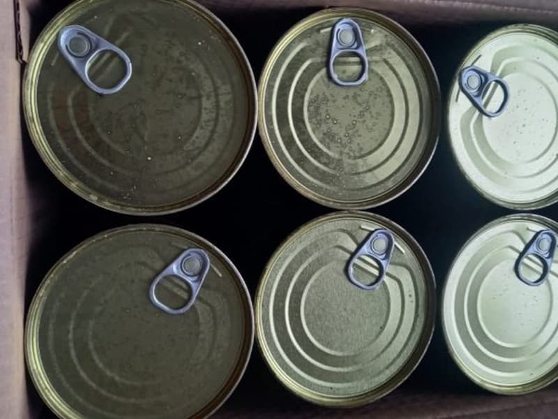 Свердловская область отправила полтонны корма для рыб во Вьетнам