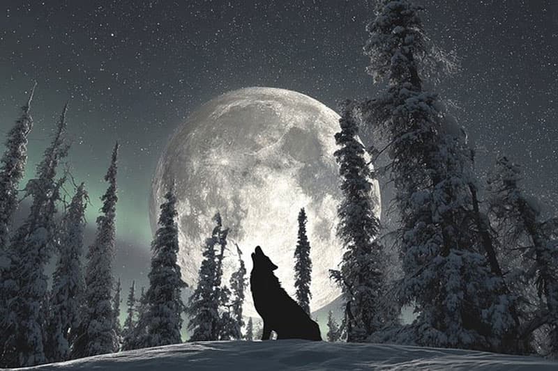 3 января над Землёй взойдёт суперполнолуние и яркий Юпитер