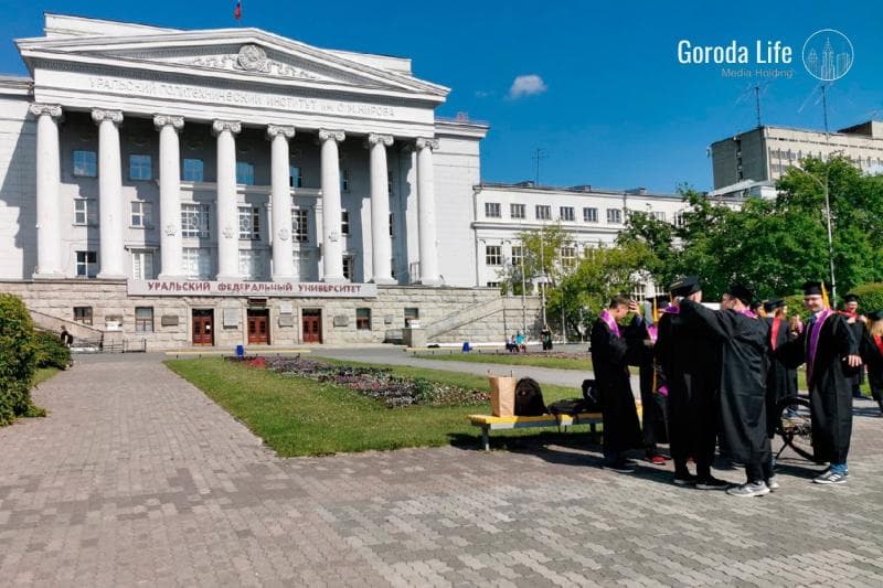 В Госдуме хотят сделать первое высшее бесплатным: кого это коснётся