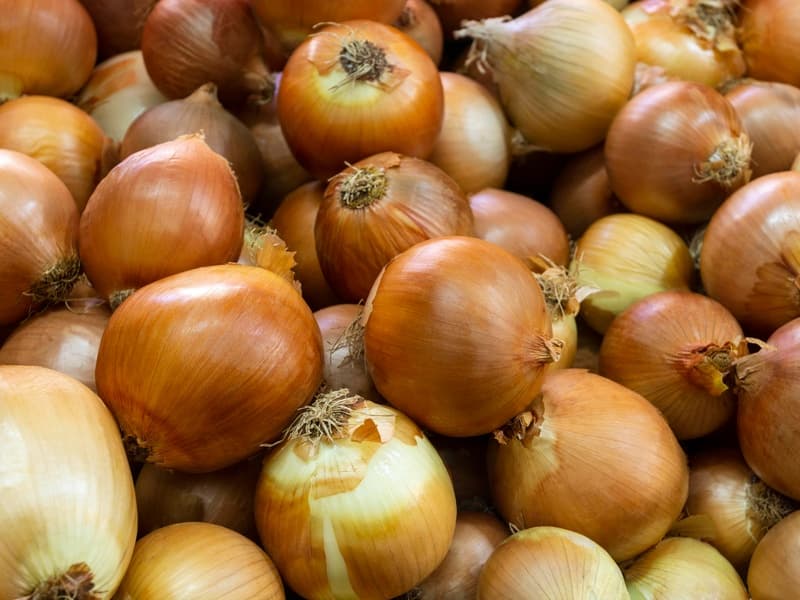 20 тонн лука из Казахстана не пустили в Свердловскую область