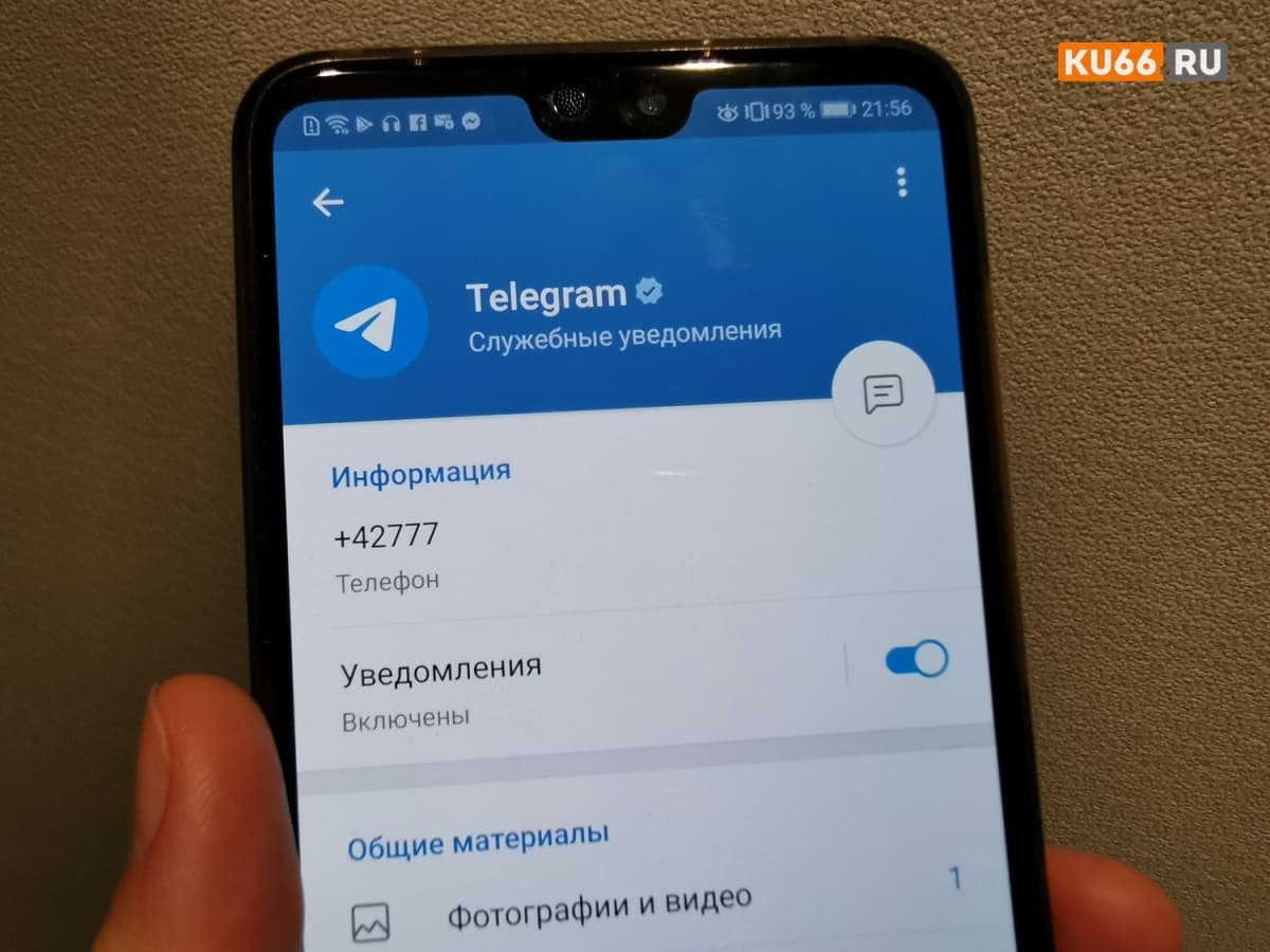 Эксперт объяснила, почему Telegram не заблокируют мгновенно: сценарий ограничений