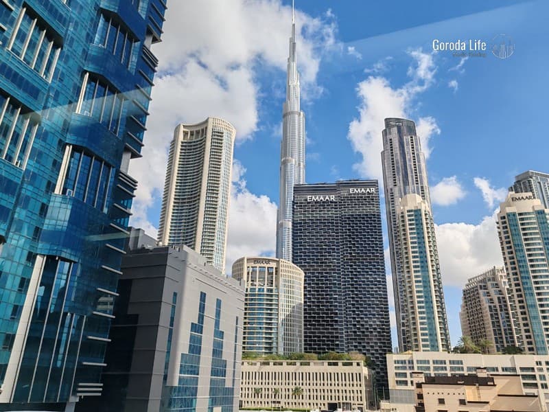 Почему продукты в Дубае кажутся дешевле: экономисты объяснили разницу