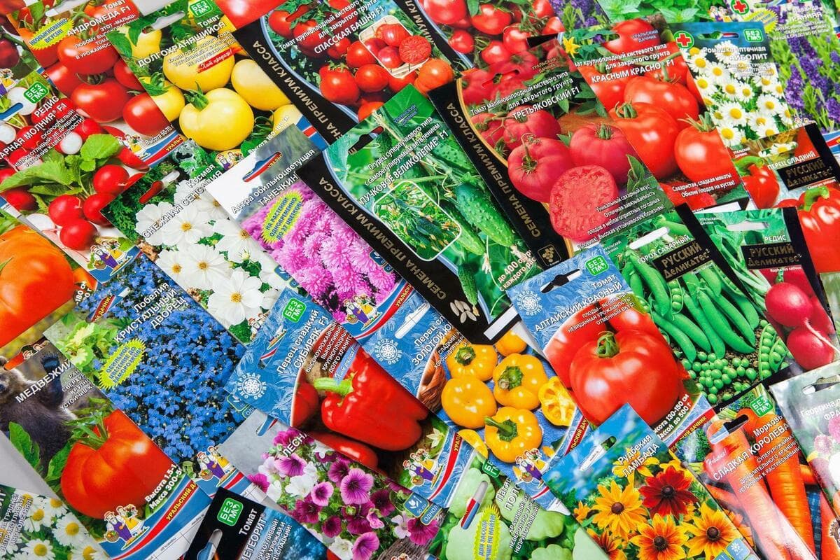 Что сеют опытные дачники на рассаду в феврале — полный список и лунный календарь 2026 года