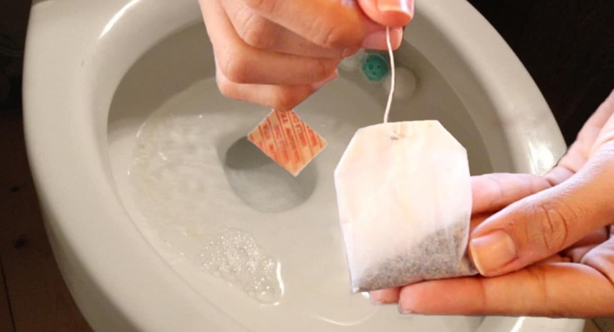 Теперь всегда, уходя их дома, закидываю чайный пакетик в унитаз: волшебный совет от горничной