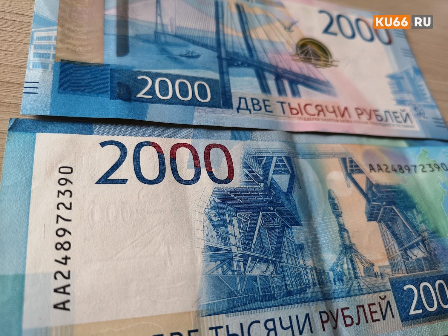 Самозанятым объяснили, как получить губернаторские выплаты по 5000 рублей. Если все сделать правильно, деньги придут через несколько дней