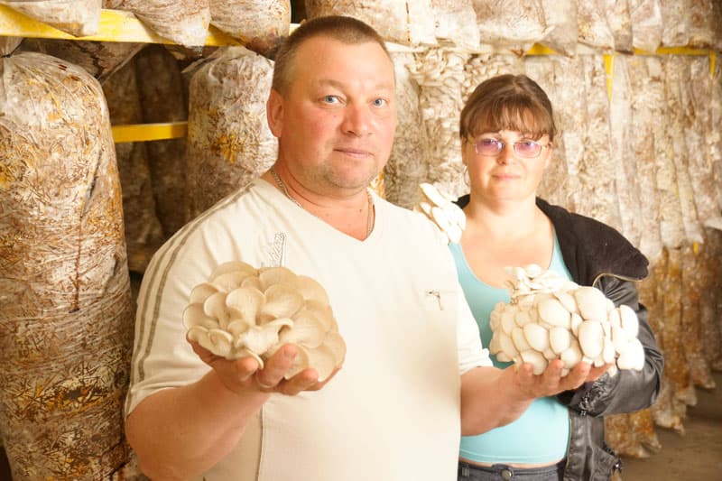 Глава агрофирмы «Грибы Урала»: «Эпидемия — сильный удар по бизнесу. Нет заказов от ресторанов, а горожане нас любят»