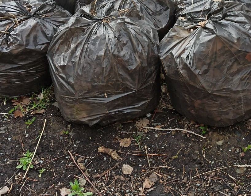 В Каменске-Уральском продолжаются весенние субботники