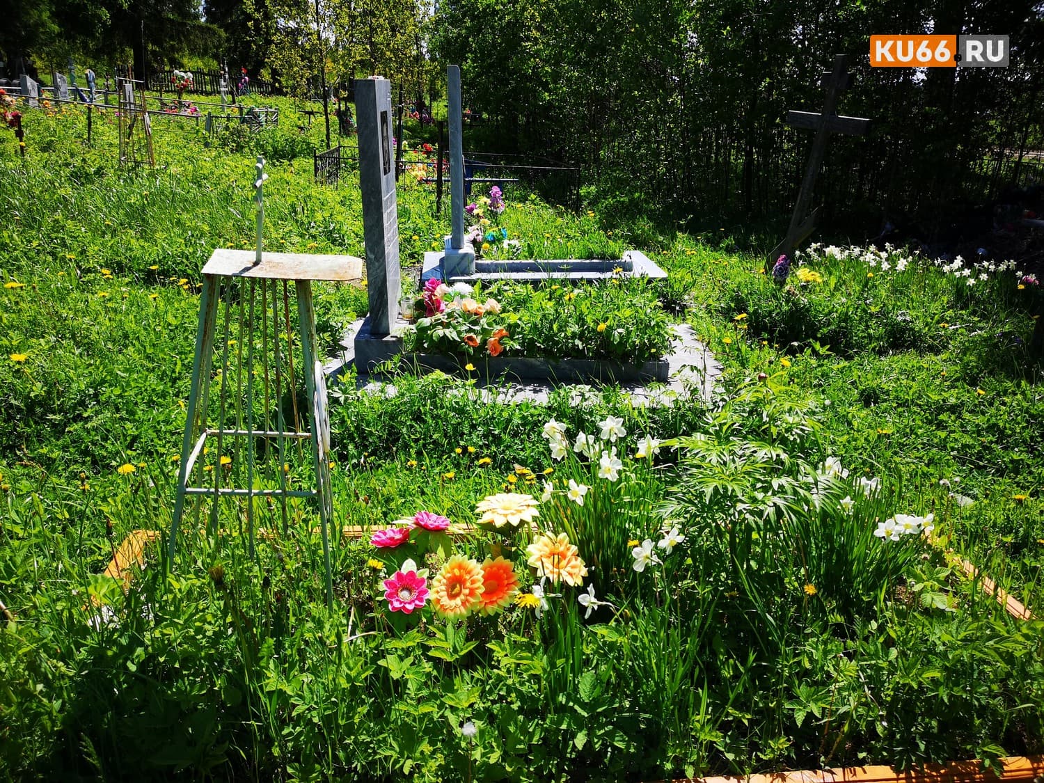 Уральский блогер забальзамировал и похоронил свою мать под деревом