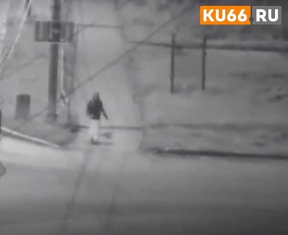 Стали известны последние минуты жизни девочки, найденной мёртвой в лесополосе в Каменске-Уральском