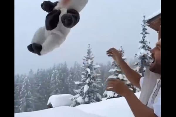 В Думе заинтересовались кинувшим в сугроб младенца блогером