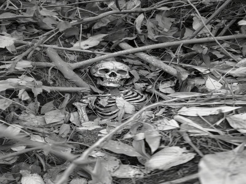 В Каменске-Уральском обнаружили человеческие останки