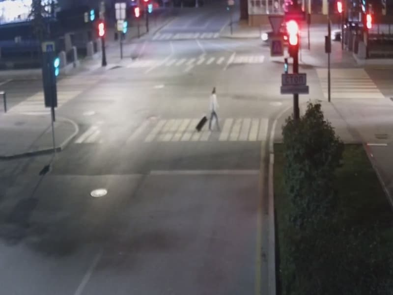 Труп в чемодане: мальчика из Перми, которого наши на мусорке, убила собственная мать