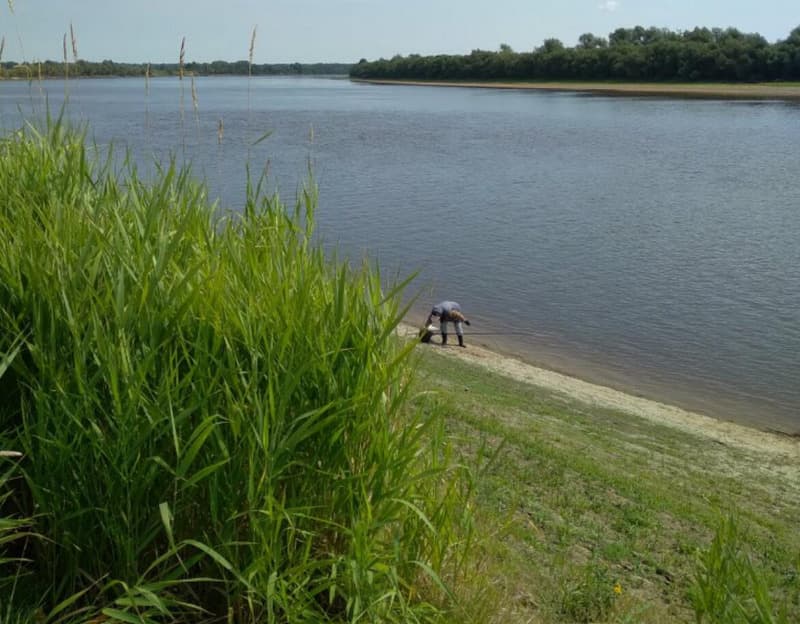 Умерли в один день от остановки сердца: стали известны подробности смерти семьи рыбаков в Тавде