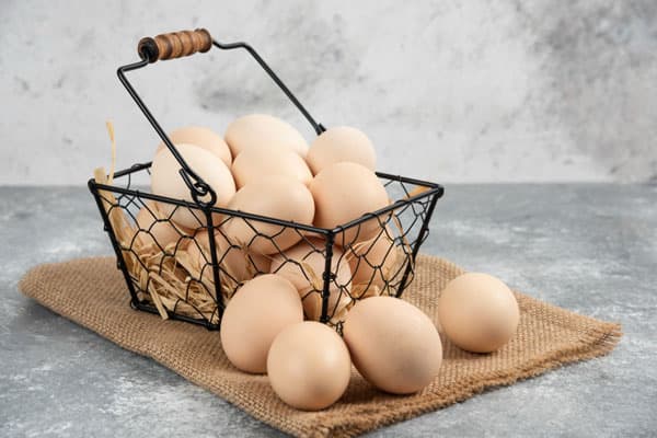 В Каменске-Уральском построят птицефабрику