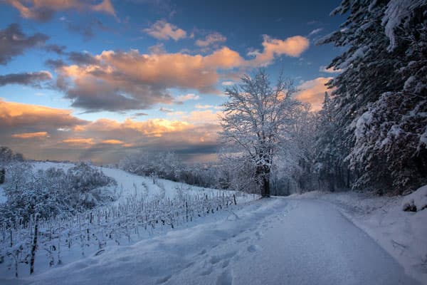 Зима на Урале обещает быть теплой (но это не точно)