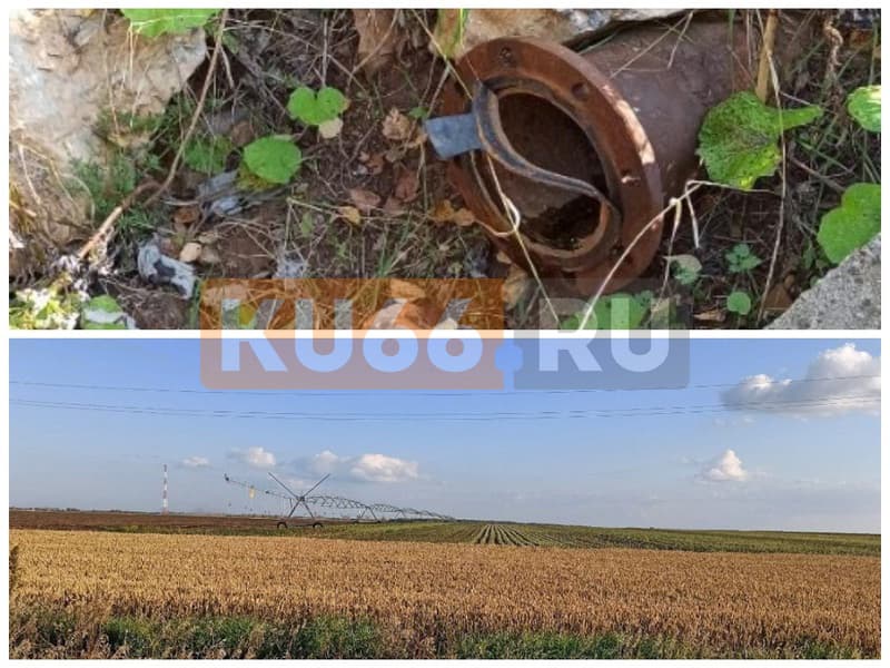 Экологический скандал в Каменском районе: вода из загрязненной Исети используется для полива полей