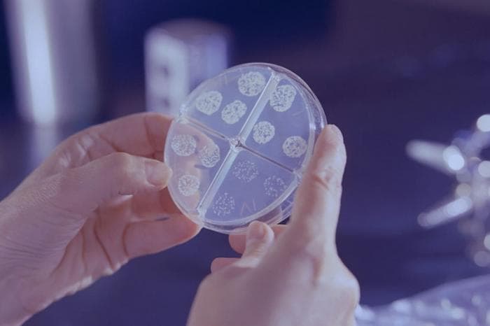 Антибиотики теряют силу: миллионы жизней под угрозой