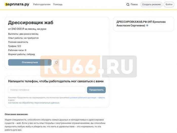 Ловкие руки и крепкая шея: в Москве ищут дрессировщика жаб за 240 тысяч рублей в месяц