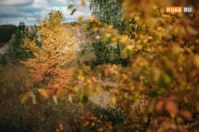 Погода в Свердловской области с 7 по 10 октября: синоптик рассказал, когда пройдут последние солнечные дни