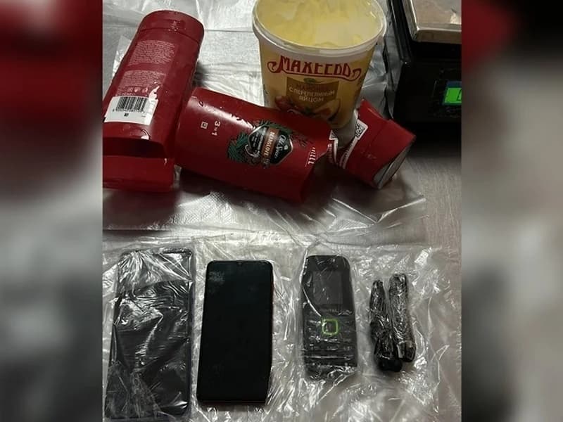 В Екатеринбурге в посылке для обвиняемого нашли телефоны в шампуне и майонезе