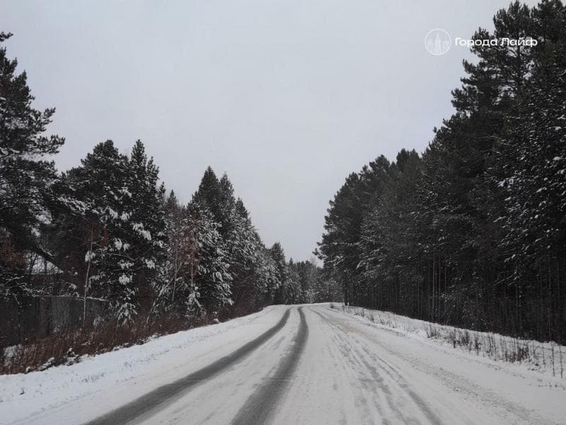 В Каменске-Уральском провели 348 рейдов по городским лесам